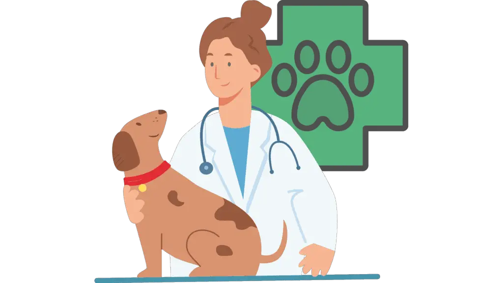 Wenn ein Hund giftige Beeren gegessen hat, dann solltest du ihn zum Tierarzt bringen.