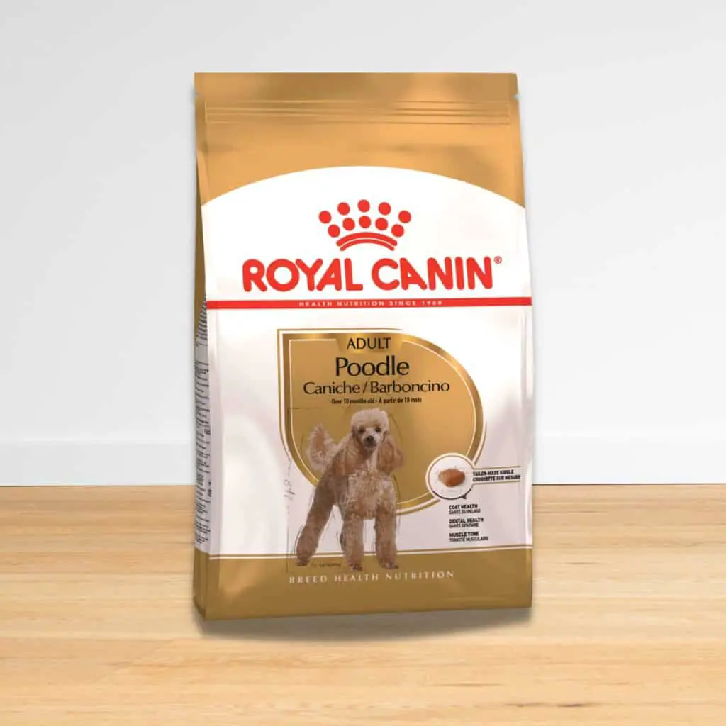 Trockenfutter "Poodle Adult" von Royal Canin