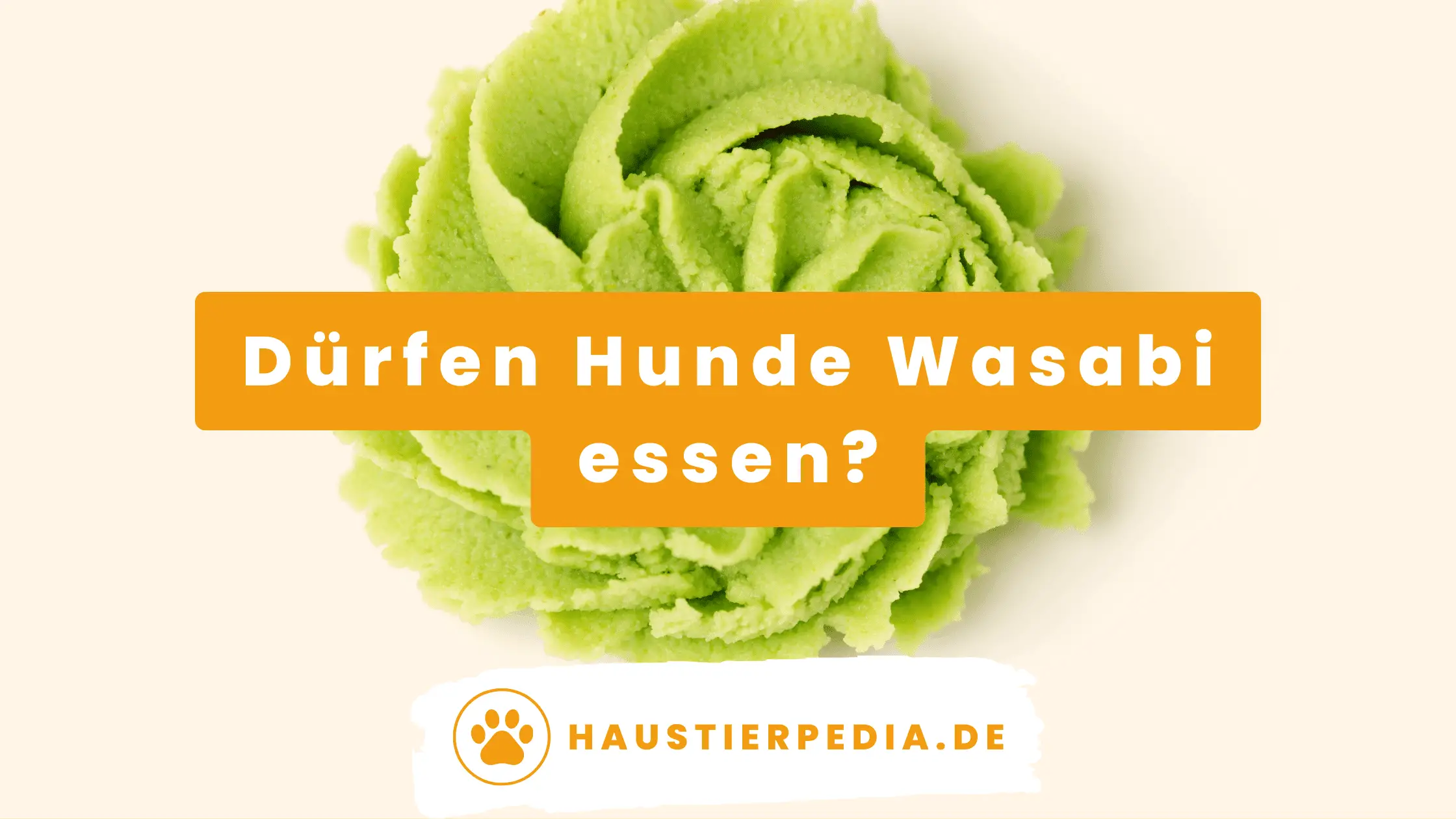 Blog Banner: Dürfen Hunde Wasabi essen?